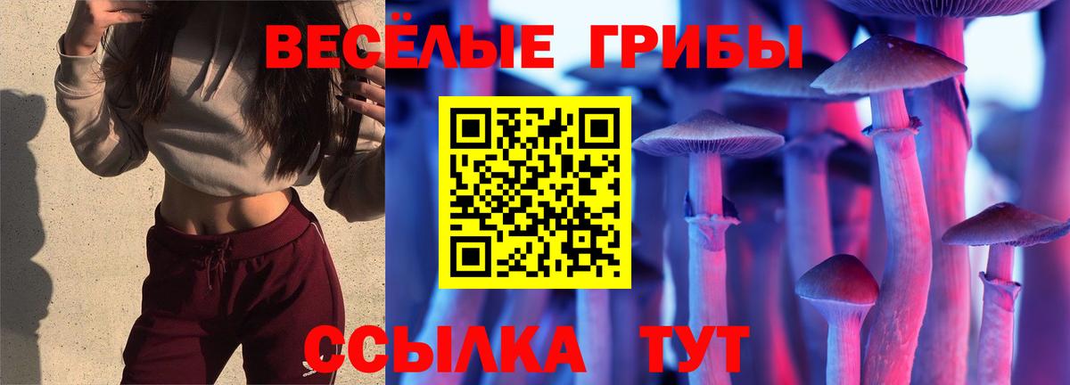 Саки  Псилоцибиновые грибы Cubensis  наркошоп  Вход с VPN 